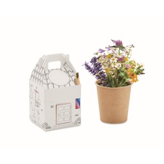 Set de cultivo de semillas para niños